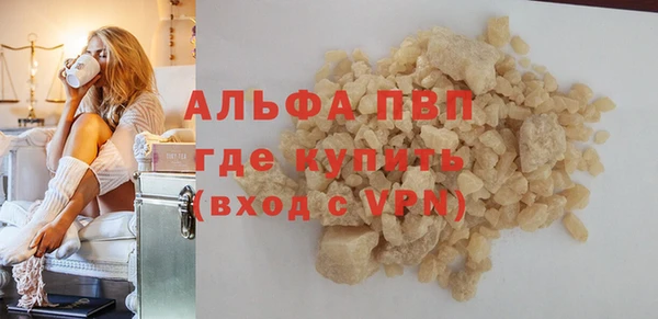 стаф Вязьма