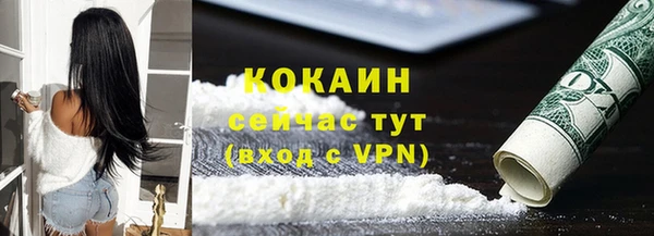 стаф Вязьма