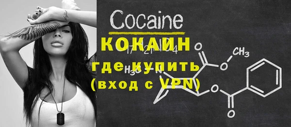 стаф Вязьма