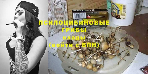 стаф Вязьма
