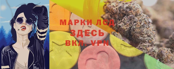 стаф Вязьма