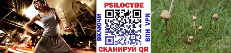 Псилоцибиновые грибы прущие грибы Струнино